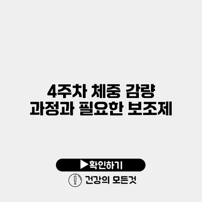 4주차 체중 감량 과정과 필요한 보조제