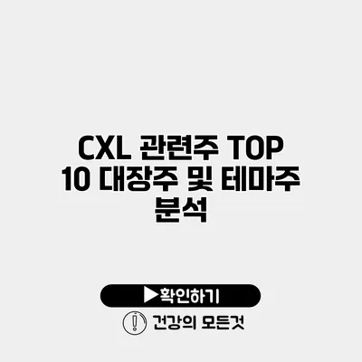CXL 관련주 TOP 10 대장주 및 테마주 분석