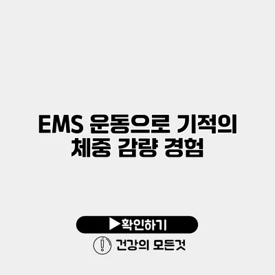 EMS 운동으로 기적의 체중 감량 경험