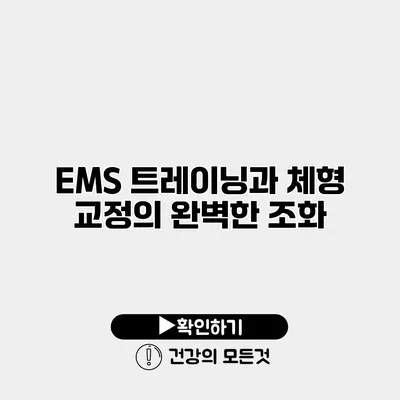 EMS 트레이닝과 체형 교정의 완벽한 조화