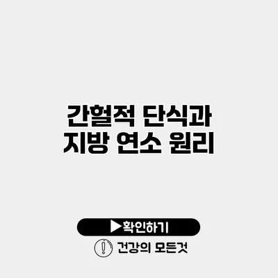 간헐적 단식과 지방 연소 원리