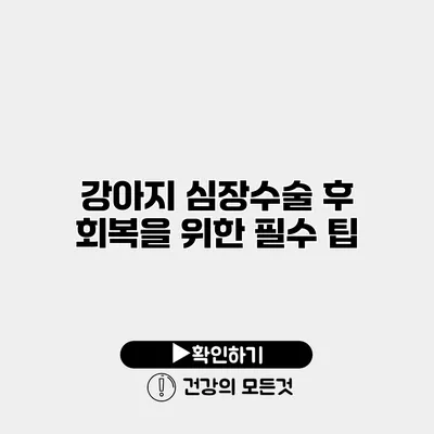 강아지 심장수술 후 회복을 위한 필수 팁