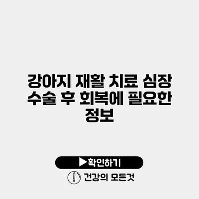 강아지 재활 치료 심장 수술 후 회복에 필요한 정보