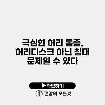 극심한 허리 통증, 허리디스크 아닌 침대 문제일 수 있다?