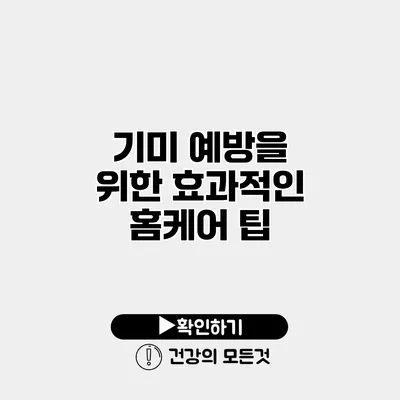 기미 예방을 위한 효과적인 홈케어 팁