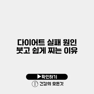 다이어트 실패 원인 붓고 쉽게 찌는 이유