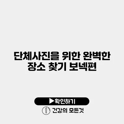 단체사진을 위한 완벽한 장소 찾기 보넥편