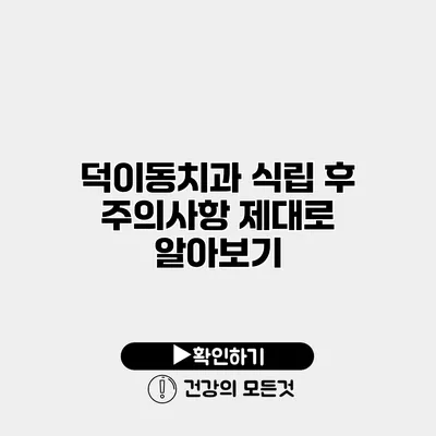 덕이동치과 식립 후 주의사항 제대로 알아보기