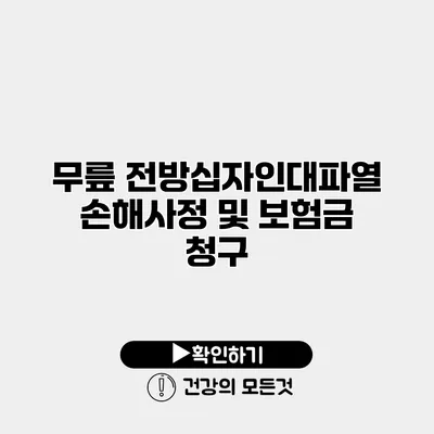무릎 전방십자인대파열 손해사정 및 보험금 청구