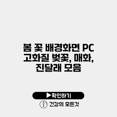봄 꽃 배경화면 PC 고화질 벚꽃, 매화, 진달래 모음