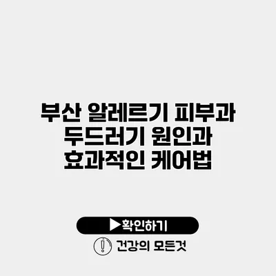부산 알레르기 피부과 두드러기 원인과 효과적인 케어법