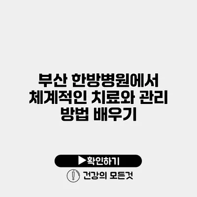 부산 한방병원에서 체계적인 치료와 관리 방법 배우기
