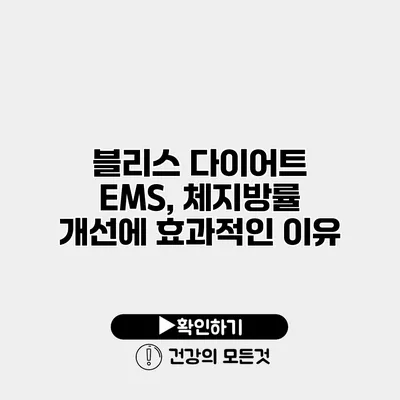 블리스 다이어트 EMS, 체지방률 개선에 효과적인 이유