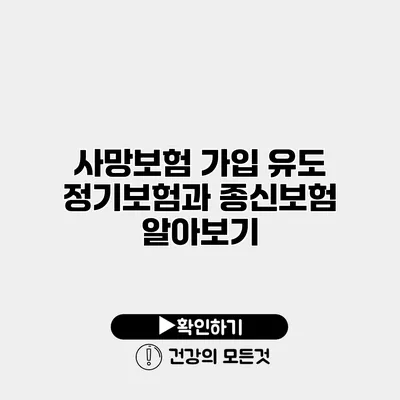 사망보험 가입 유도 정기보험과 종신보험 알아보기