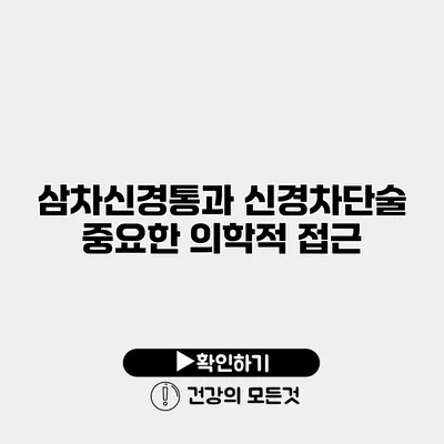 삼차신경통과 신경차단술 중요한 의학적 접근