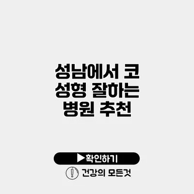 성남에서 코 성형 잘하는 병원 추천