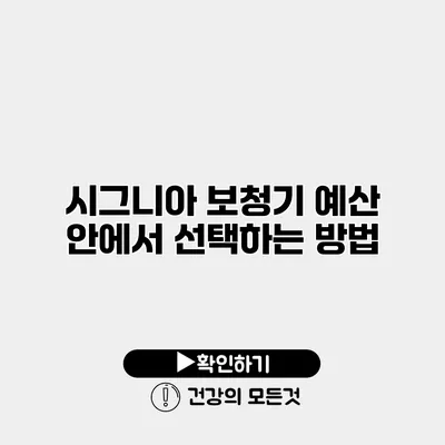시그니아 보청기 예산 안에서 선택하는 방법