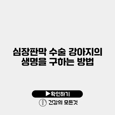 심장판막 수술 강아지의 생명을 구하는 방법