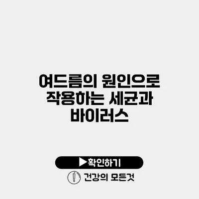 여드름의 원인으로 작용하는 세균과 바이러스