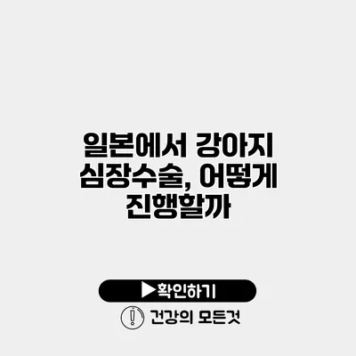 일본에서 강아지 심장수술, 어떻게 진행할까?