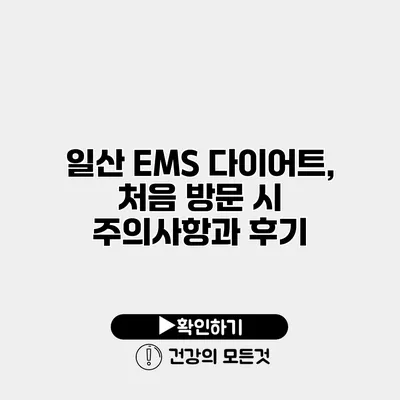 일산 EMS 다이어트, 처음 방문 시 주의사항과 후기