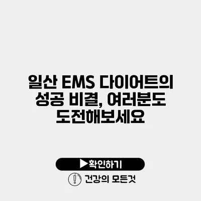 일산 EMS 다이어트의 성공 비결, 여러분도 도전해보세요