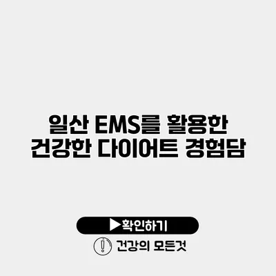 일산 EMS를 활용한 건강한 다이어트 경험담