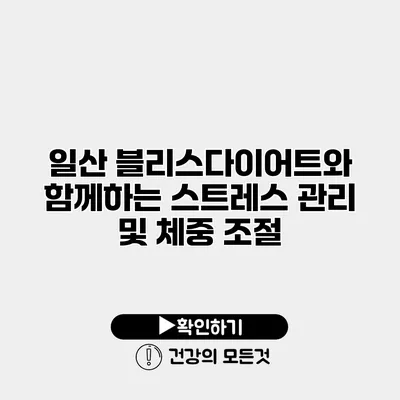 일산 블리스다이어트와 함께하는 스트레스 관리 및 체중 조절