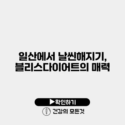일산에서 날씬해지기, 블리스다이어트의 매력