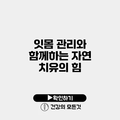 잇몸 관리와 함께하는 자연 치유의 힘