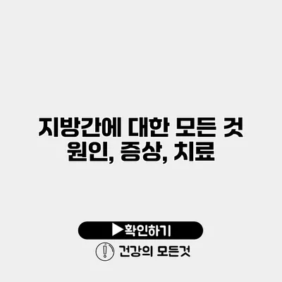 지방간에 대한 모든 것 원인, 증상, 치료