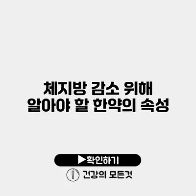 체지방 감소 위해 알아야 할 한약의 속성