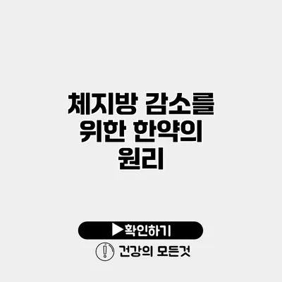체지방 감소를 위한 한약의 원리