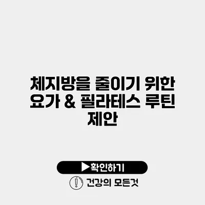 체지방을 줄이기 위한 요가 & 필라테스 루틴 제안