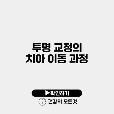 투명 교정의 치아 이동 과정