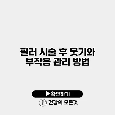 필러 시술 후 붓기와 부작용 관리 방법