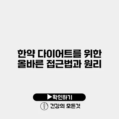 한약 다이어트를 위한 올바른 접근법과 원리