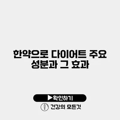 한약으로 다이어트 주요 성분과 그 효과