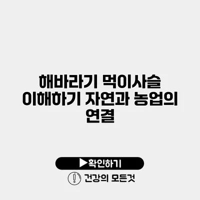 해바라기 먹이사슬 이해하기 자연과 농업의 연결