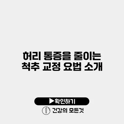 허리 통증을 줄이는 척추 교정 요법 소개