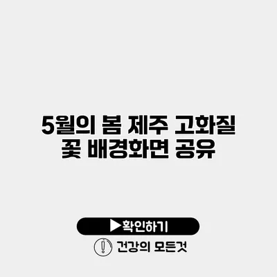 5월의 봄 제주 고화질 꽃 배경화면 공유