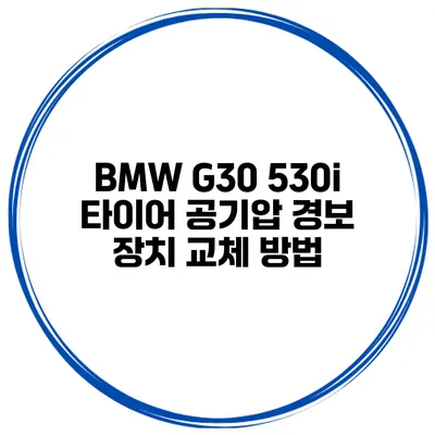 BMW G30 530i 타이어 공기압 경보 장치 교체 방법