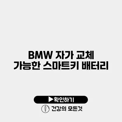 BMW 자가 교체 가능한 스마트키 배터리