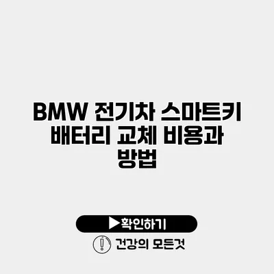BMW 전기차 스마트키 배터리 교체 비용과 방법
