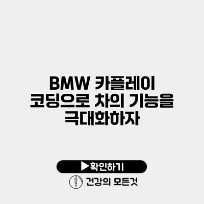 BMW 카플레이 코딩으로 차의 기능을 극대화하자