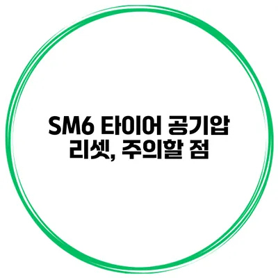 SM6 타이어 공기압 리셋, 주의할 점