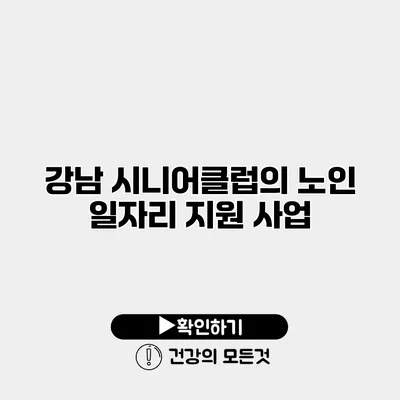 강남 시니어클럽의 노인 일자리 지원 사업