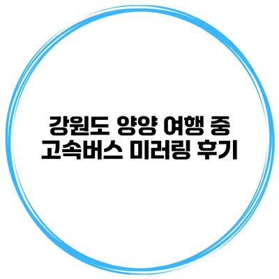 강원도 양양 여행 중 고속버스 미러링 후기