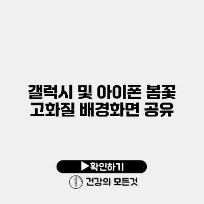 갤럭시 및 아이폰 봄꽃 고화질 배경화면 공유