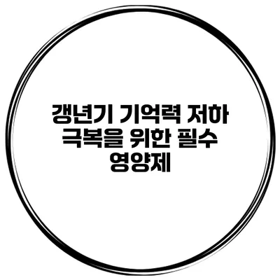 갱년기 기억력 저하 극복을 위한 필수 영양제